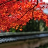 京都⑦