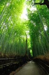 嵐山③