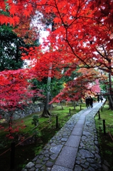 京都②
