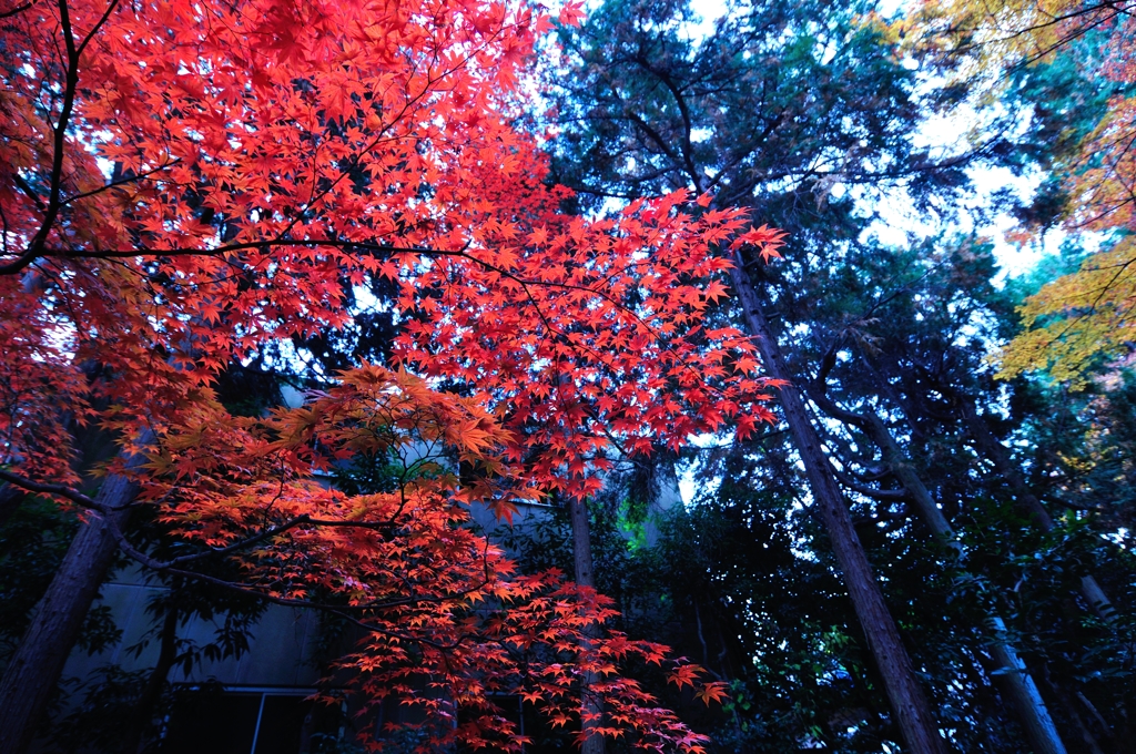 京都①