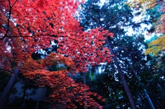 京都①