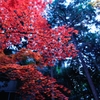 京都①