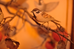 BIRDCARVING (12)
