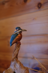 BIRDCARVING (14)