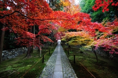 京都