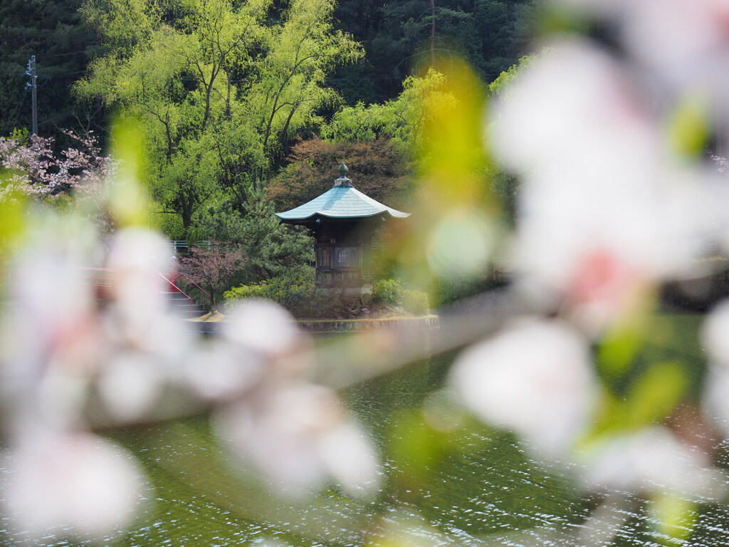 定光寺