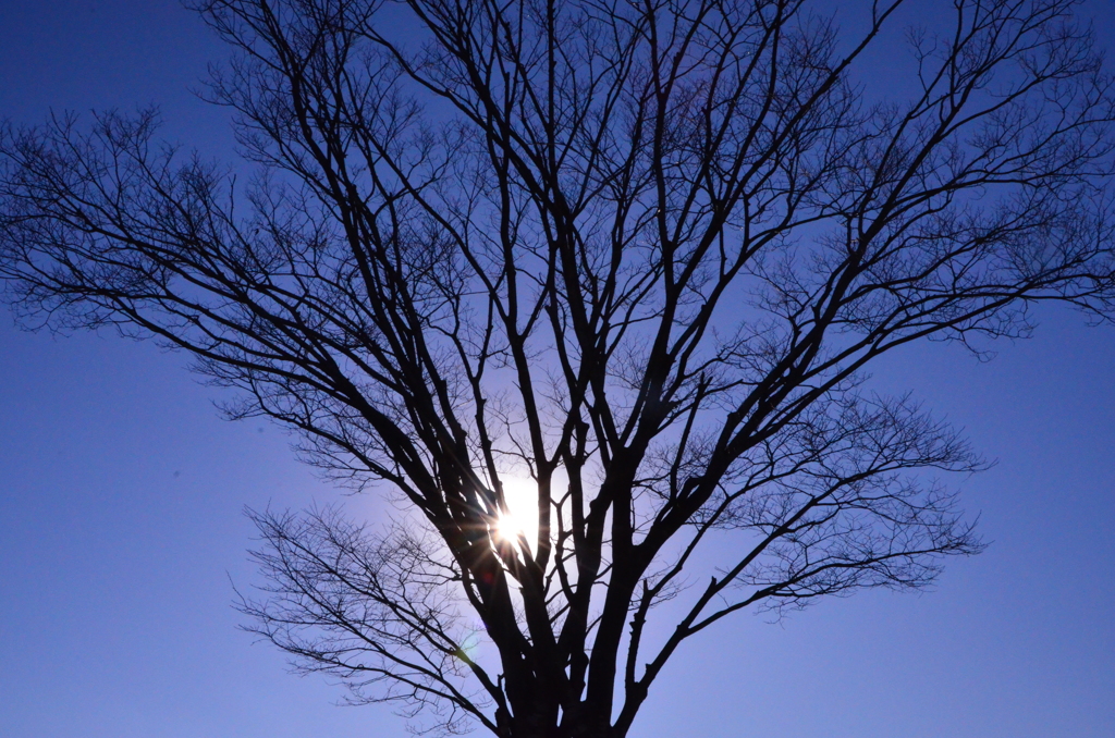 「陽光」