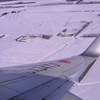 AAC_9866