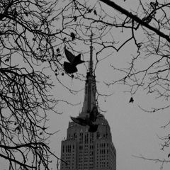 Empire State Building, New York, 2010