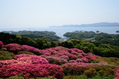 長串山公園から見たツツジと島々