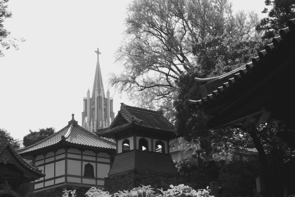 寺院と教会の見える風景2