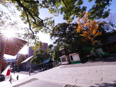 P1010006