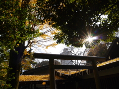 P1020680