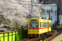 鉄道〜桜のある風景〜