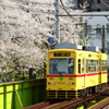 鉄道〜桜のある風景〜