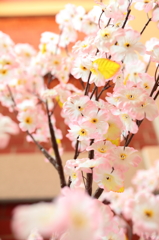 春の香り