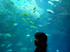 江の島水族館