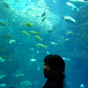 江の島水族館