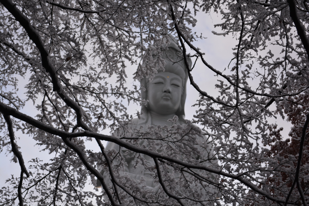 雪花の高崎観音