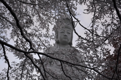 雪花の高崎観音