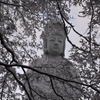 雪花の高崎観音