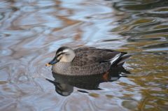 群馬・浜川公園