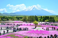 二つの富士