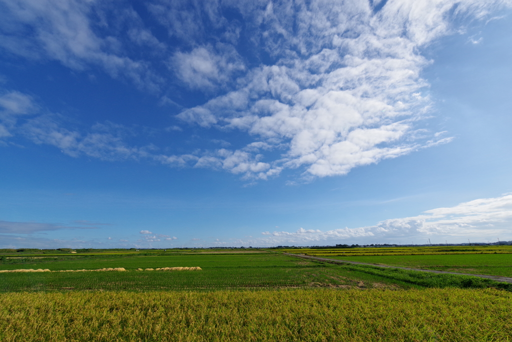 今日の空