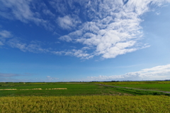 今日の空