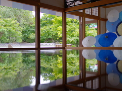床もみじ