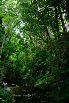 散歩道