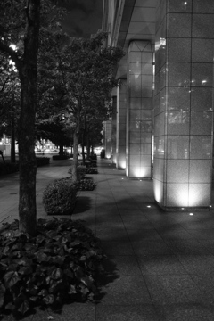 夜スナップ②