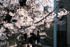 懐かしい風景