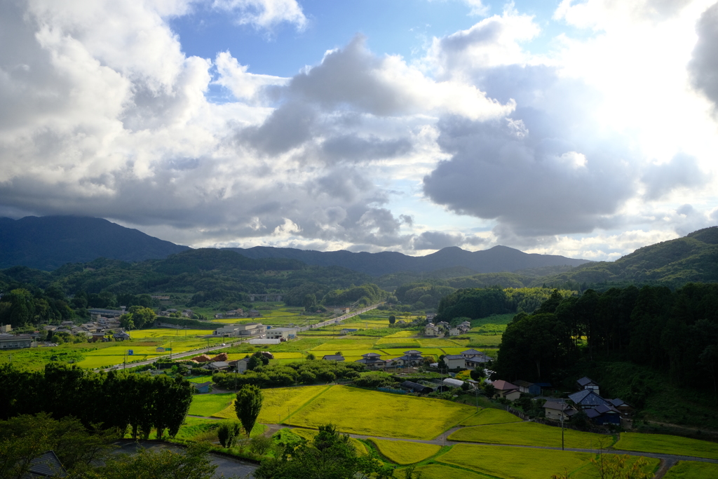 丘風景