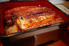 うな丼
