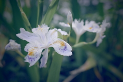 写画