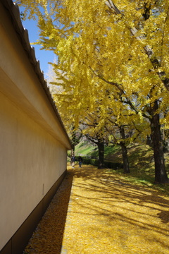 黄色路