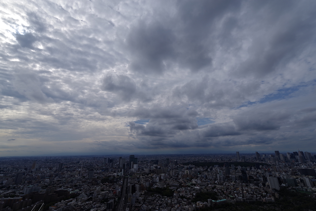 雨上がりの午後