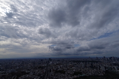 雨上がりの午後