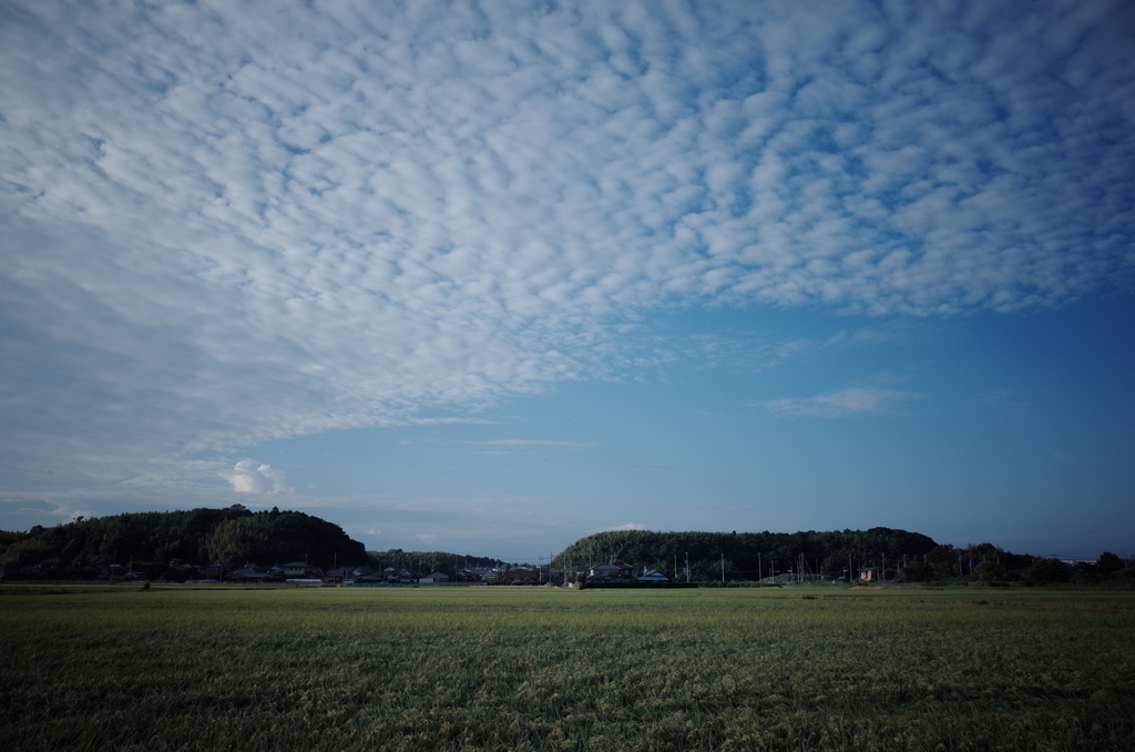 うろこ雲