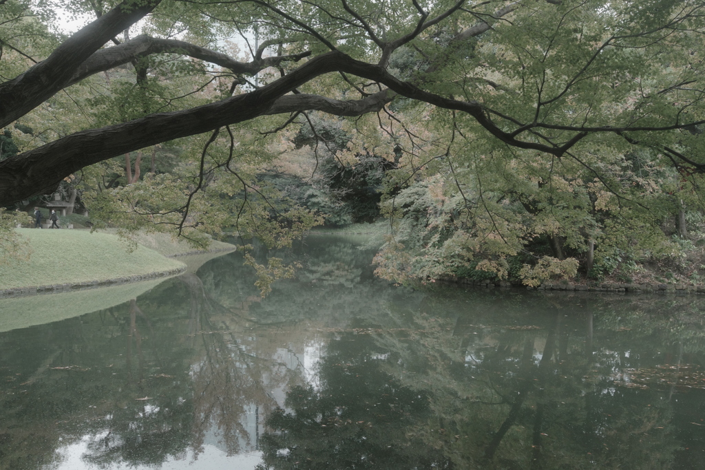 庭園