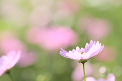 秋を感じて①