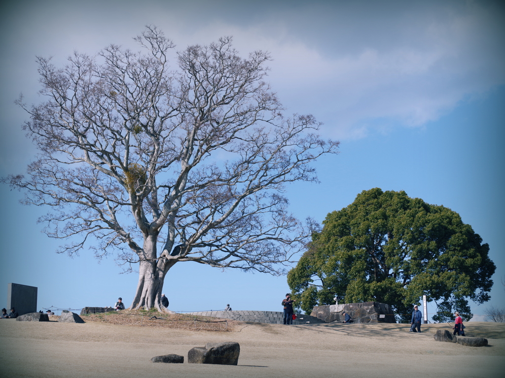 公園