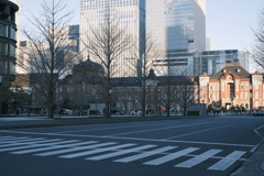 見に行く