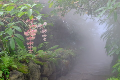 雨ばかりで憂鬱