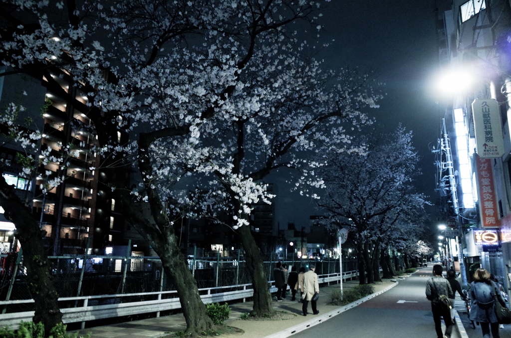 寄り道②