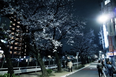寄り道②