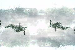 表裏世界