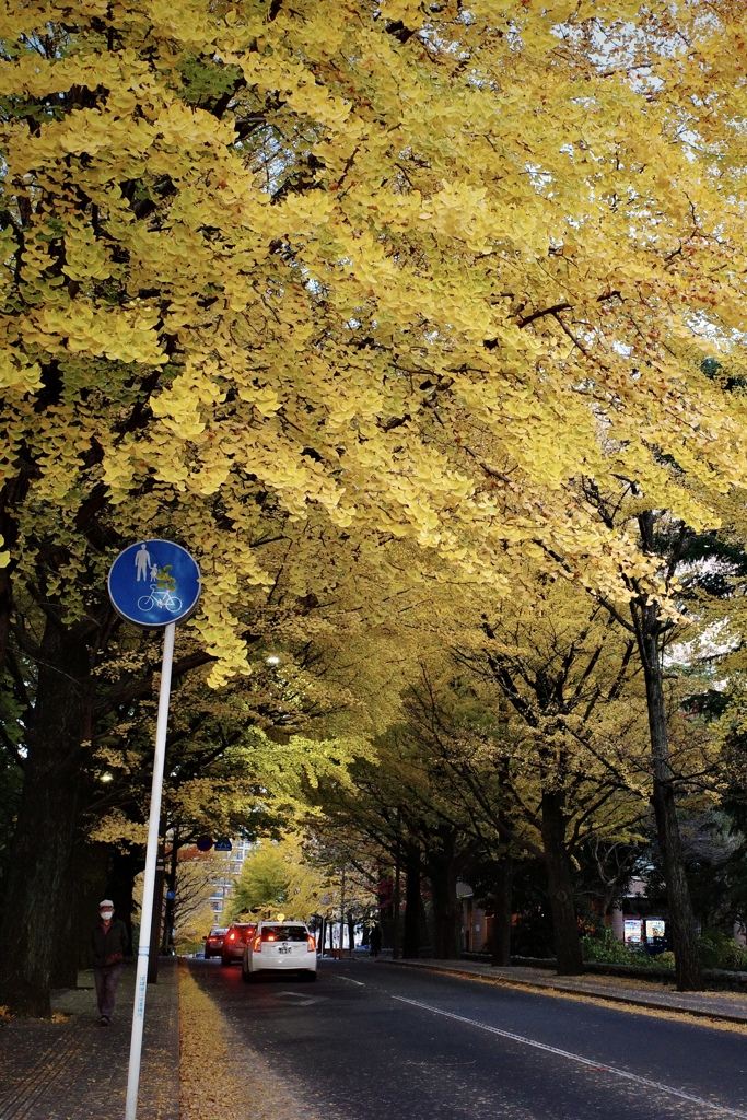 秋道