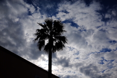 今日の空